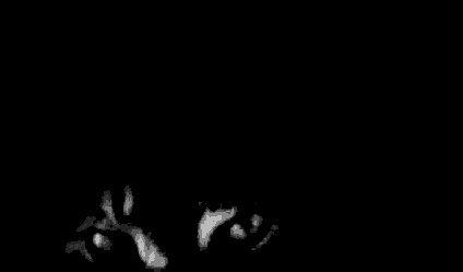  19K anim.gif 